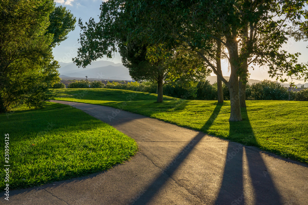 Fototapeta premium path in the park