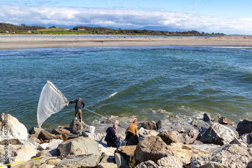 A whitebaiter fishes for whitebait with his scoop net on an incoming tide at the mouth of the Hokitika River, New Zealand