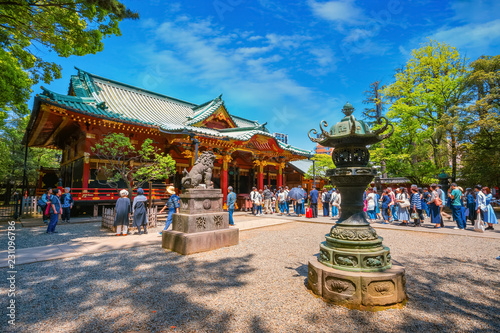 Photography Crowded people at Nezu Shrine during the Azalea Festival that held from early Ap
