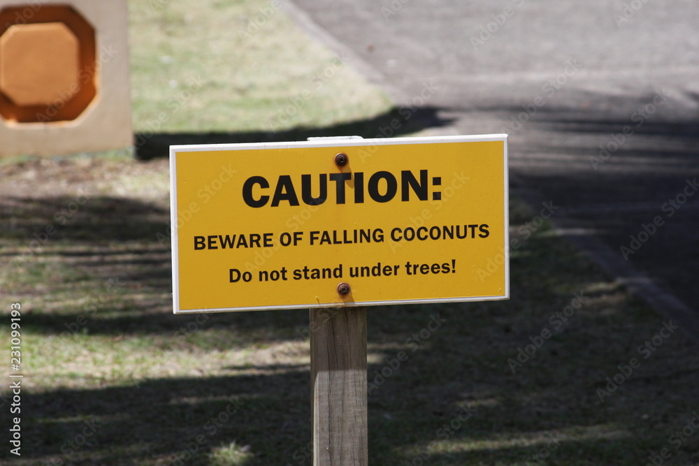 falling coconuts