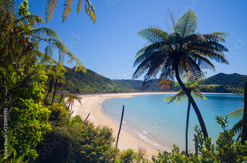 Coastline of Abel Tasman National Park
