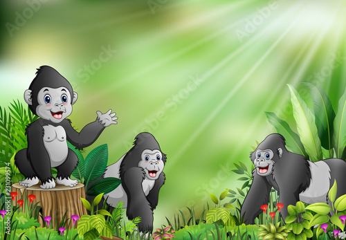 Cartoon of the nature scene with gorilla group