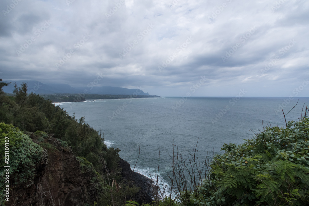 cliff views of the sea in kauai hawaii cliff views of the sea in kauai hawaii