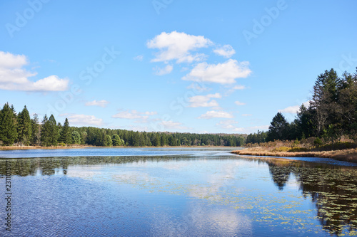 Beaver Meadows lake in Allegheny National Forest. Pine and evergreen trees line the shoreline with grass. It is a blue sky, with a few white clouds.