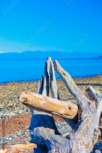 Rathtrevor Beach provincial park during low tide in Vancouver Island photo