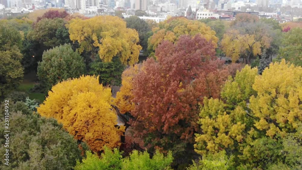 Autumn in New York City park. Aerial view. Autumn in New York City park. Aerial view.