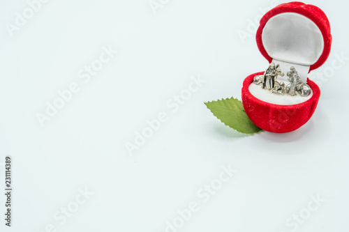 Slika na platnu Christian nativity scene on a red rose flower.