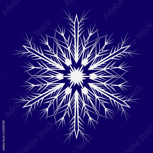 Snowflake to decorate the New Year and Christmas holiday. Vector illustration.