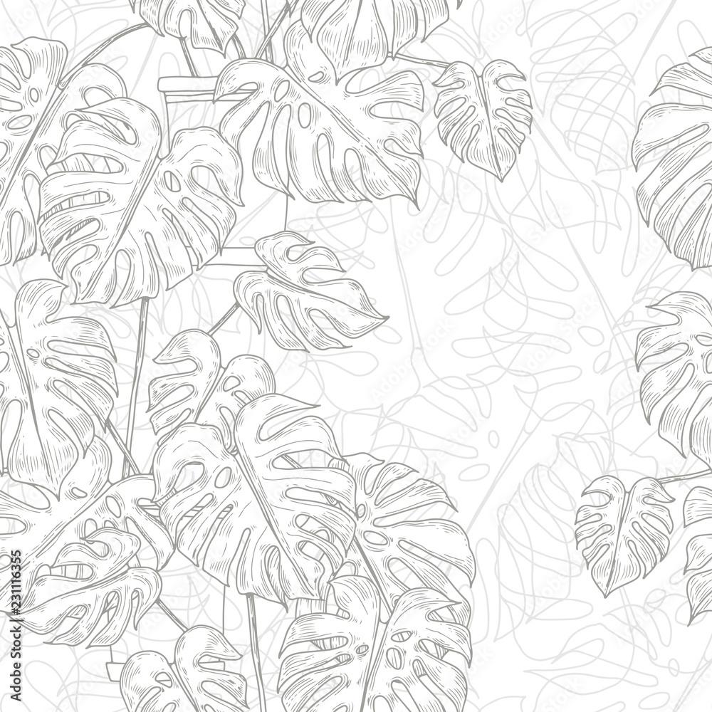Seamless pattern with monstera  in pots  on white background. Vector monochrome illustration. Hand-drawn vector monochrome illustration.