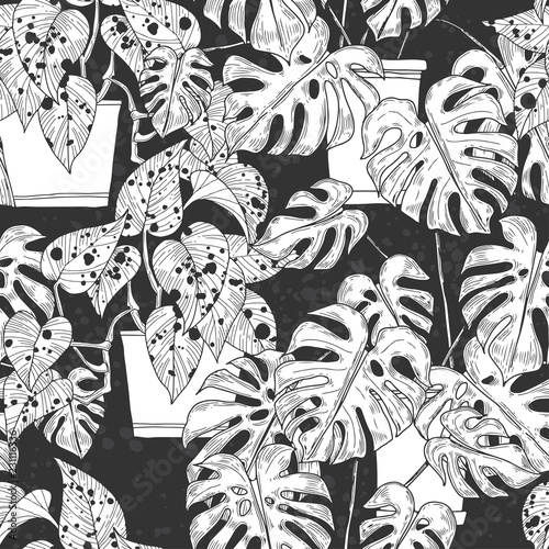 Seamless pattern with  Scindapsus aureus Eagler and  Monstera  in pots on black background. Vector monochrome illustration.