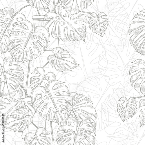 Seamless pattern with monstera in pots on white background. Vector monochrome illustration. Hand-drawn vector monochrome illustration.