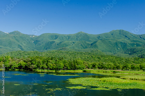 知床の夏