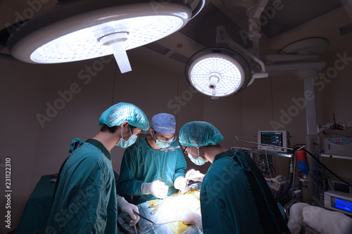 Fototapeta Naklejka Na Ścianę i Meble -  group of veterinarian surgery in operation room