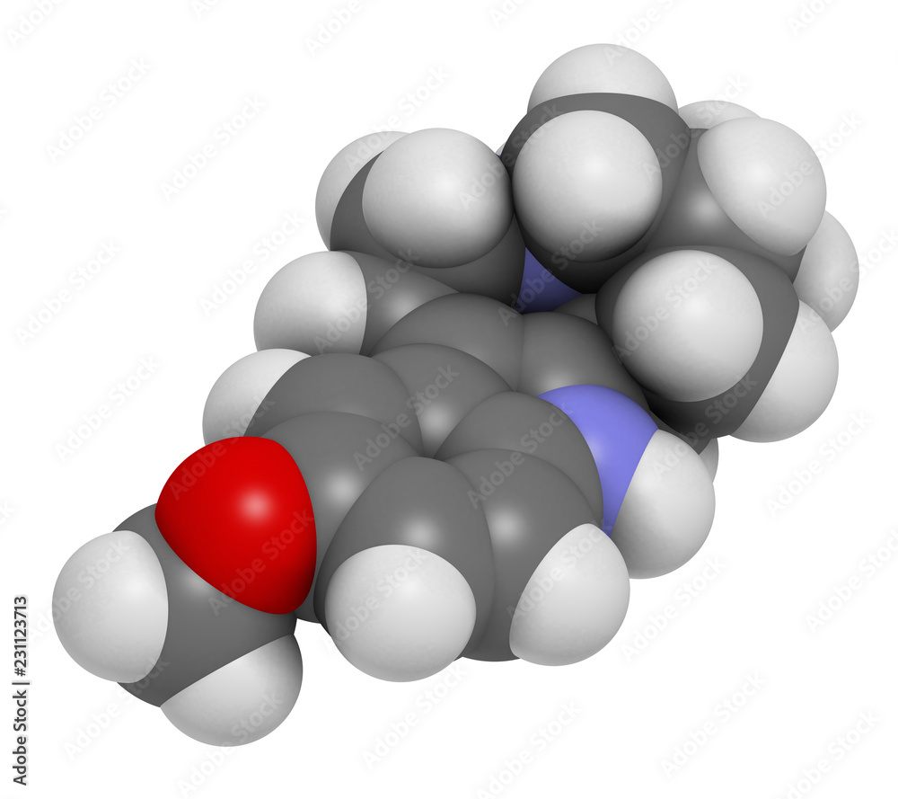 Ibogaine alkaloid molecule, found in Tabernanthe iboga. 3D rendering. Atoms are represented as spheres with conventional color coding: hydrogen (white), carbon (grey), oxygen (red), nitrogen (blue). Ibogaine alkaloid molecule, found in Tabernanthe iboga. 3D rendering. Atoms are represented as spheres with conventional color coding: hydrogen (white), carbon (grey), oxygen (red), nitrogen (blue).