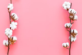 Branch of cotton on pink background top view copy space