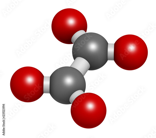 Oxalate anion, chemical structure. Oxalate salts can form kidney stones. 3D rendering. Atoms are represented as spheres with conventional color coding: carbon (grey), oxygen (red). © molekuul.be