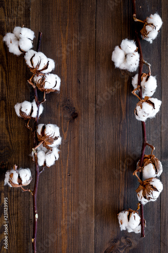 White dried flowers of cotton on dark wooden background top view copy space