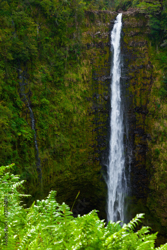 Fototapeta Naklejka Na Ścianę i Meble -  Dual Waterfalls