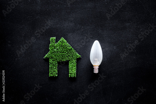 Enegry saving technology concept. House cutout made of green grass near light bulb on black background top view copy space