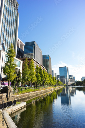 お堀沿いの風景