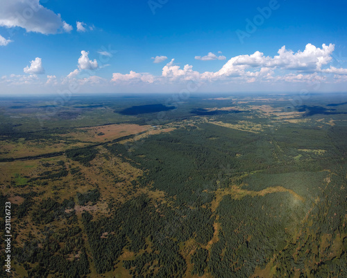 View of the burned forest from a height