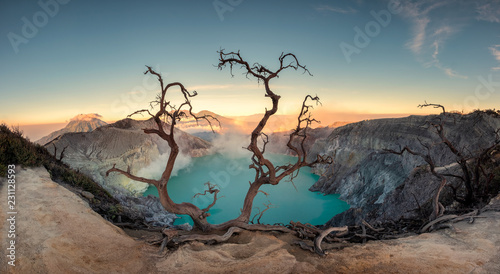 Dried tree on active volcano crater with turquoise lake at dawn