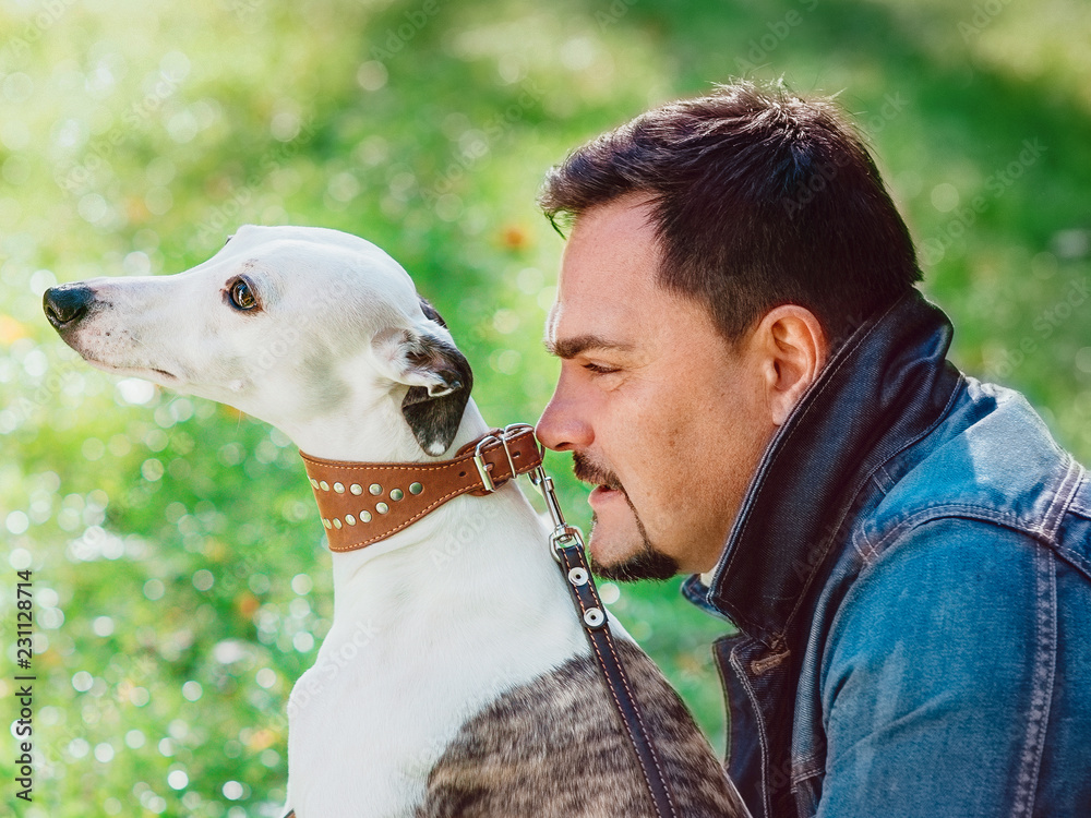 portrait of handsome man in jeans clothes with whippet dogs outdoor - healthy lifestyle. Pets, love and friendship concept