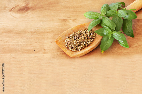 Wooden spoon with coriander seeds and basil leaves.