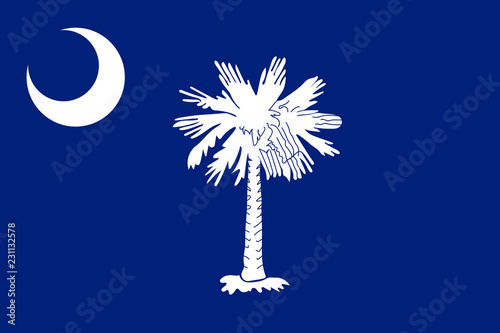 South Carolina vector flag. Vector illustration. United States of America.