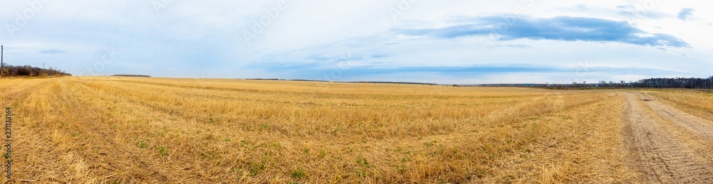 Beautiful panorama landscape of golden field and dark stormy sky. Autumn morning in countryside. Beautiful panorama landscape of golden field and dark stormy sky. Autumn morning in countryside.