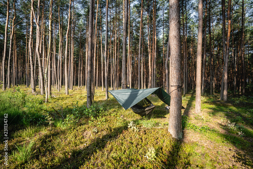 Tree hammock tent hanging out in the wild forest on a summer day. Survival mode, being alone.