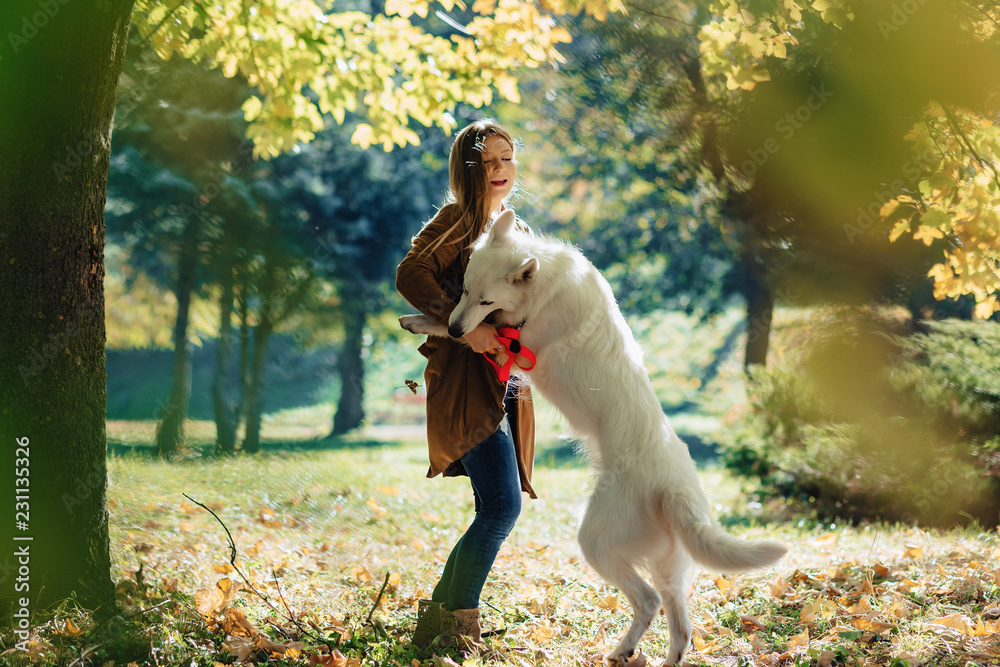 Obraz premium girl walks at autumn park with young white Swiss shepherd dog