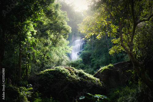 Waterfall in jungle at Chiang mai Thailand. © Digitalarmart