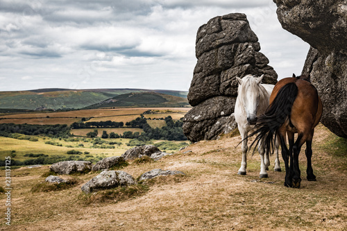 Wallpaper Mural Dartmoor ponies grazing near a tor against a dramatic sky