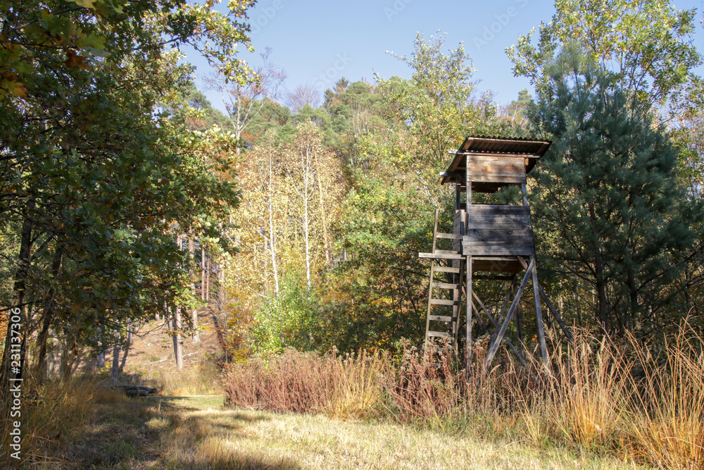 Jägersitz im Wald am Wegrand im Herbst