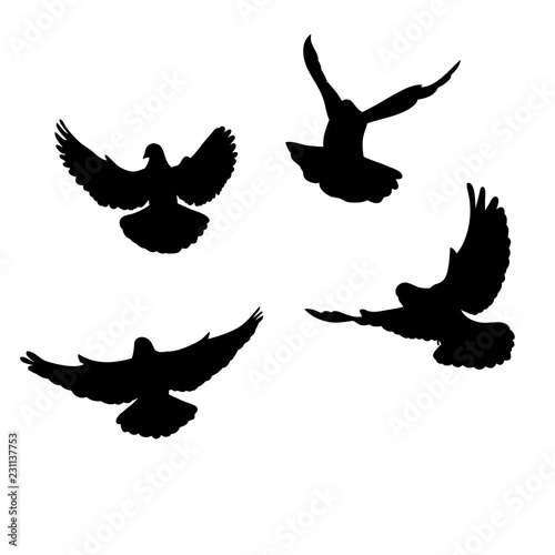 isolated set of flying birds silhouettes