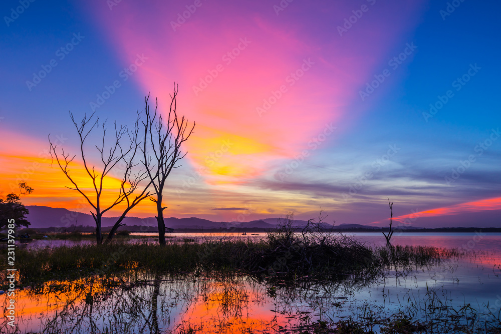 Beautiful tree inside the Bang Phra Reservoir in sunrise, Sriiracha, Chonburi, Thailand Beautiful tree inside the Bang Phra Reservoir in sunrise, Sriiracha, Chonburi, Thailand