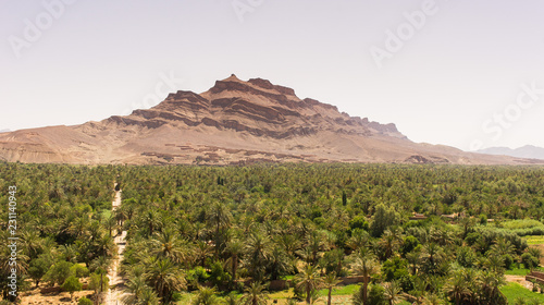 La palmeraie et la montagne de l'Atlas au Maroc photo