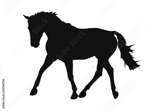 A silhouette of a freely trotting horse.