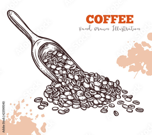 Scoop with coffee beans hand draw sketch isolated. Harvest, processing and sale of aromatic ingredient for coffee drinks concept. Hand drawn sketch isolated on white. Vector illustration