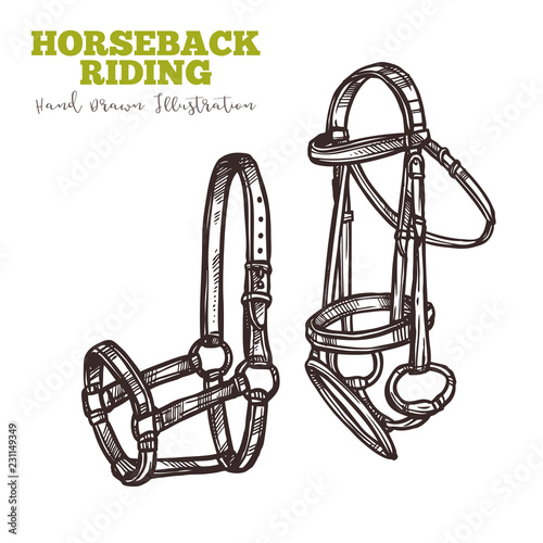Two varieties of horse bridle. equipment for ride. Image for instructions, manuals, training books and shops. Horseback ridding concept. Vector hand drawn sketch isolated on white background