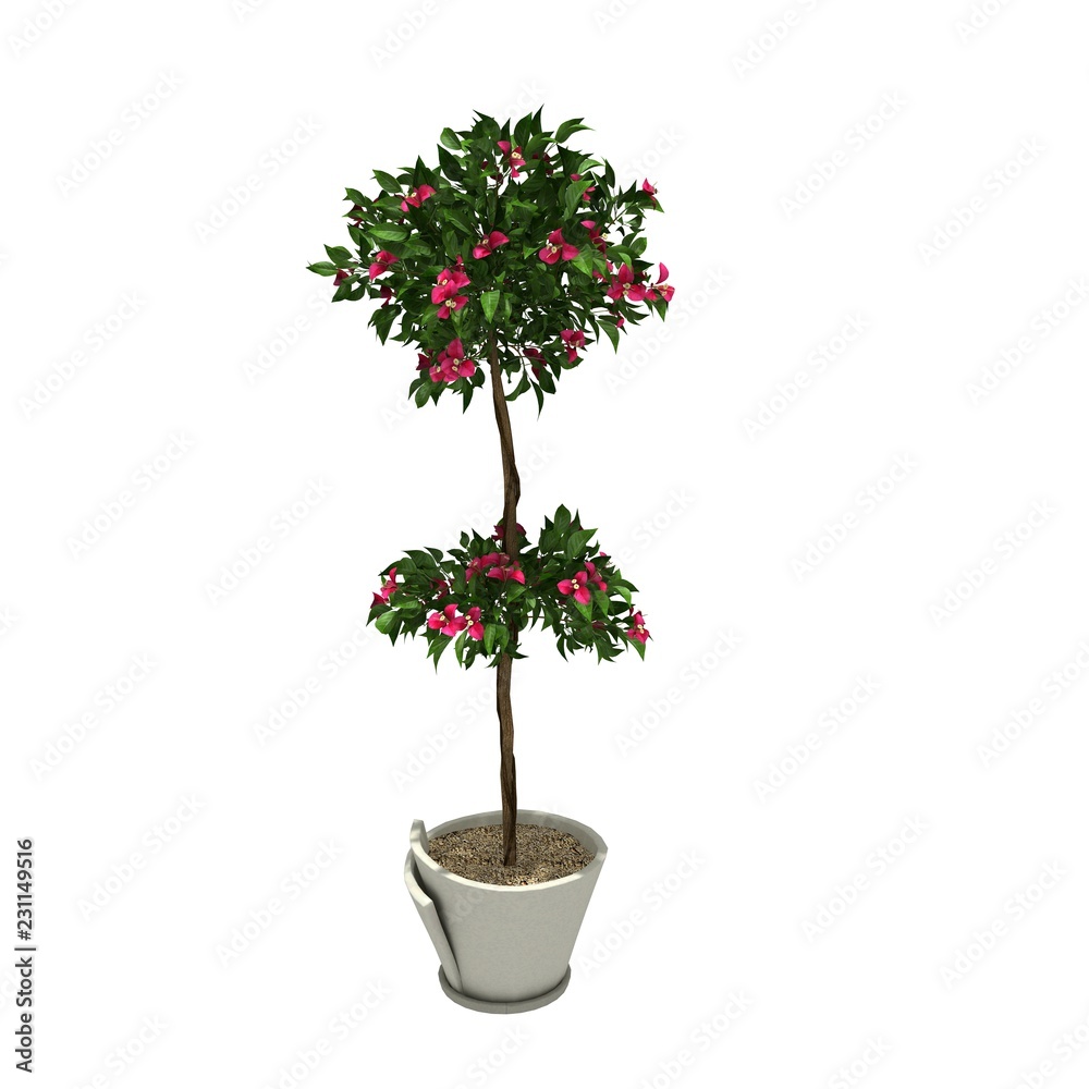 Naklejka premium pink flower on pot for office