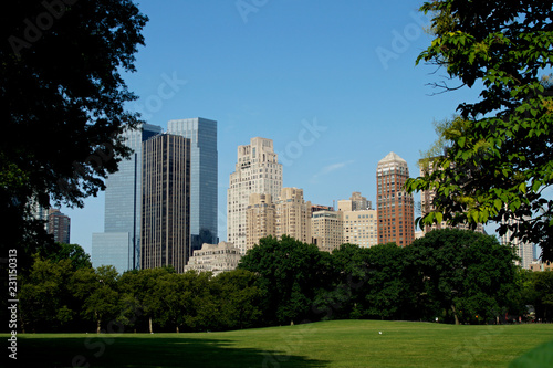 Central Park View NYC