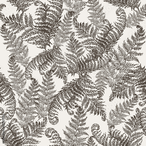 Fern herbs, tropical forest plant leaves seamless vector wrapping paper. Modern herbal pattern. Bracken foliage, forest exotic leaves tropical fern grass herb seamless fabric background.