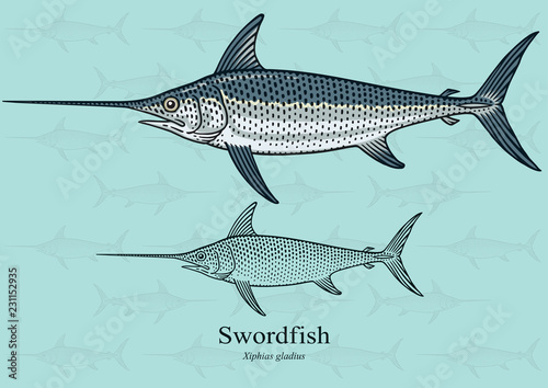 Swordfish. Vector illustration with refined details and optimized stroke that allows the image to be used in small sizes (in packaging design, decoration, educational graphics, etc.)