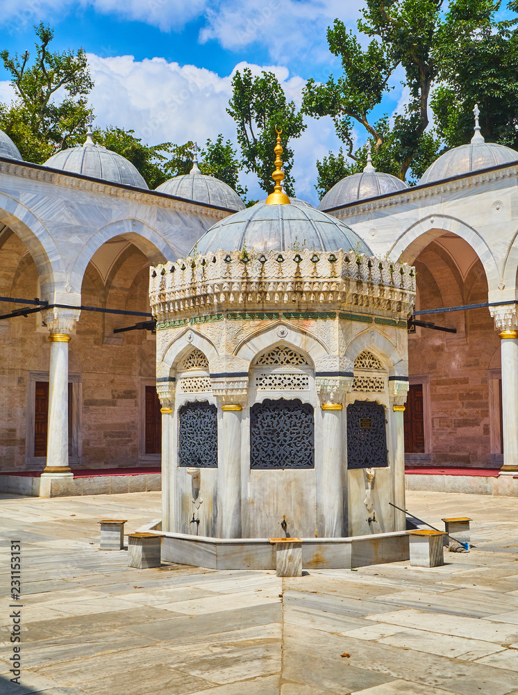 Φωτογραφία The courtyard of The Yeni Valide Camii Mosque, with the Ablution fountain in the foreground