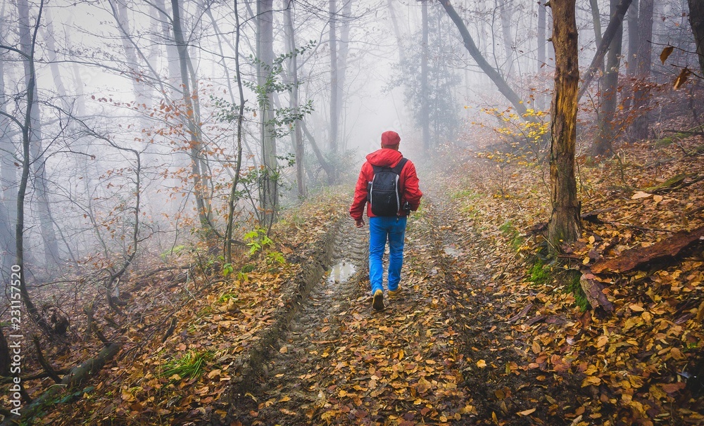 randonneur dans la forêt en automne avec sac à dos