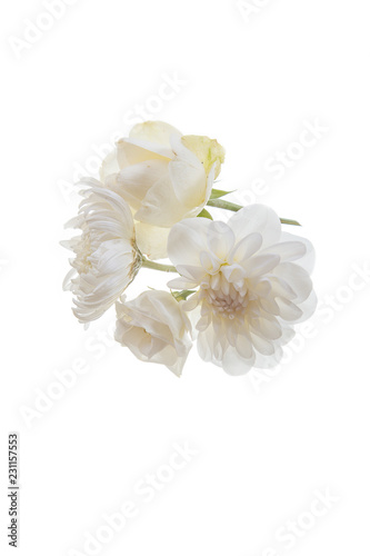 white flower delicate plant pink fresh chrysanthemum close-up postcard isolated background golden-daisy many roses bouquet