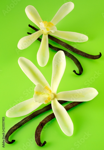 TWO VANILLA FLOWERS AND PODS ON GREEN