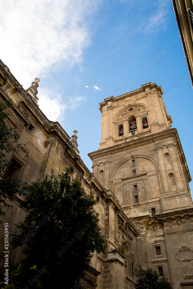 Cathedral of the Incarnation in Granada, Spain
